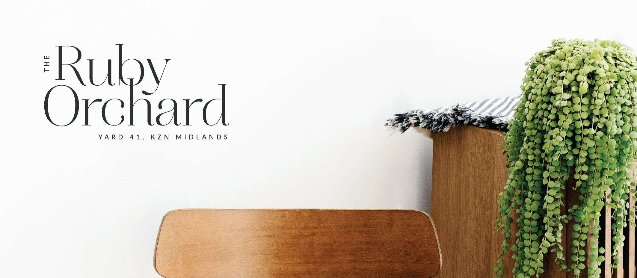 Andrea-Barras-Brand-Design-50b-15